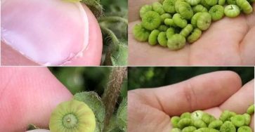 7396d99e 1720 4fc8 80ae d9730b642e2c