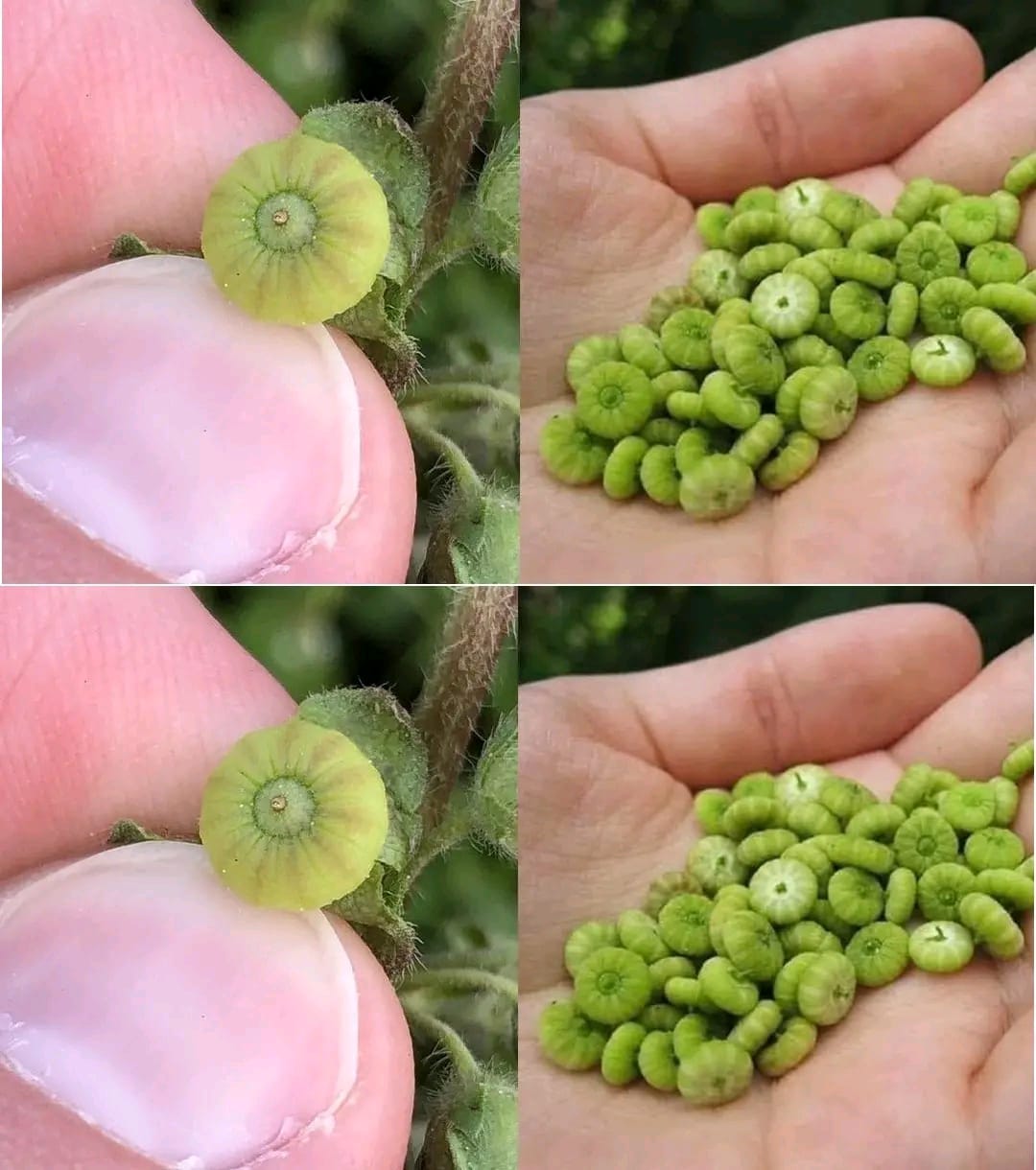 7396d99e 1720 4fc8 80ae d9730b642e2c