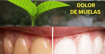 ChatGPT Image 07 46 06 11 thg 3