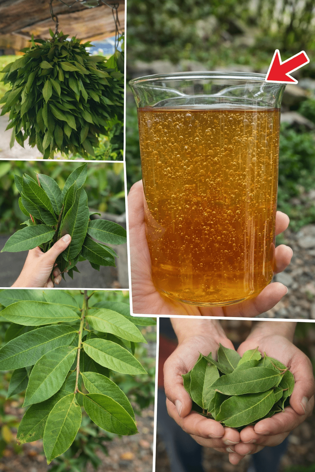 ChatGPT Image 07 46 09 11 thg 3