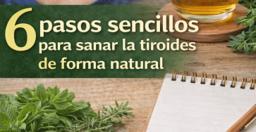 ChatGPT Image 07 49 01 11 thg 3