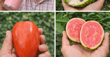 ChatGPT Image 15 44 28 13 thg 3