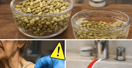 ChatGPT Image 16 24 09 16 thg 3