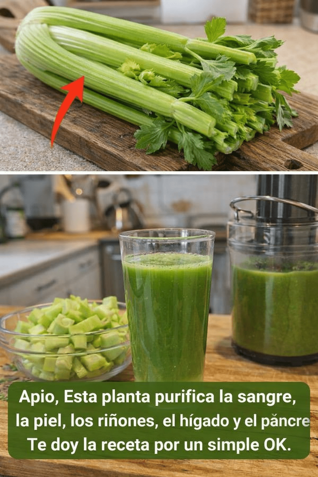 ChatGPT Image 16 26 02 16 thg 3