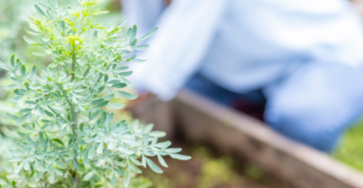 Screenshot 2026 03 23