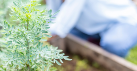 Screenshot 2026 03 23