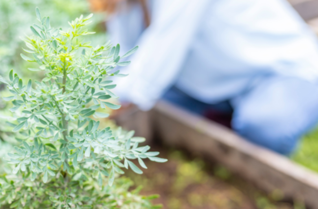 Screenshot 2026 03 23