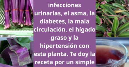 Thêm tiêu đề 2026 03 18T213242.942
