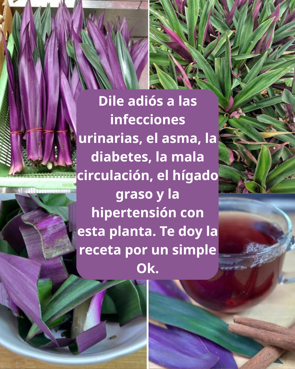 Thêm tiêu đề 2026 03 18T213242.942