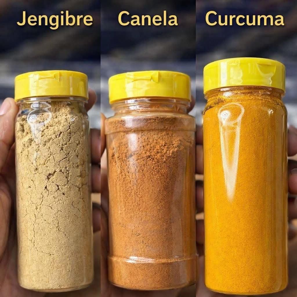 WhatsApp Image 2026 02 08 at 18.49.55