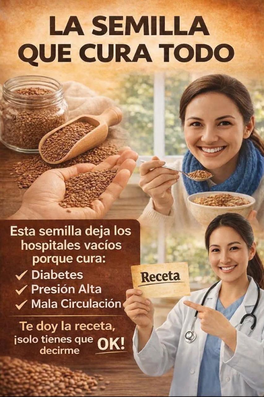 WhatsApp Image 2026 02 12 at 16.24.02