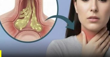 WhatsApp Image 2026 02 25 at 19.48.55