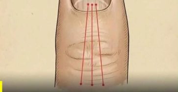 WhatsApp Image 2026 03 02 at 03.23.34