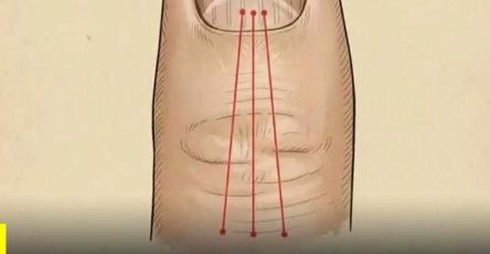 WhatsApp Image 2026 03 02 at 03.23.34