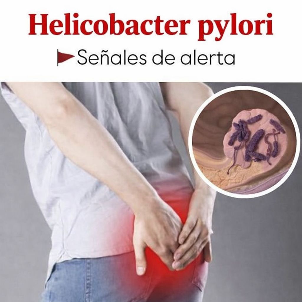 WhatsApp Image 2026 03 13 at 14.55.06