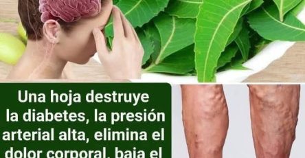 WhatsApp Image 2026 03 17 at 15.31.13