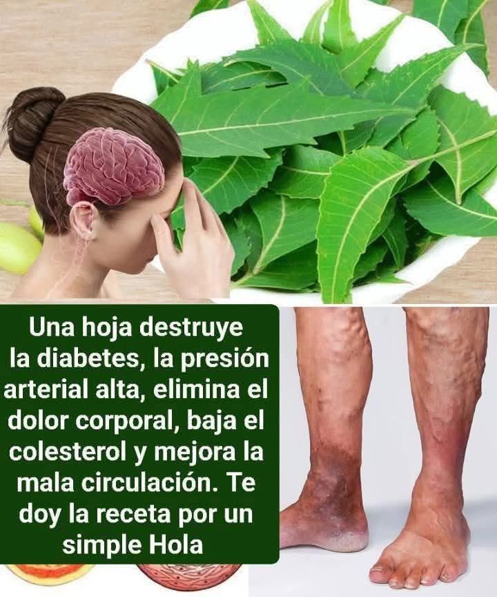 WhatsApp Image 2026 03 17 at 15.31.13