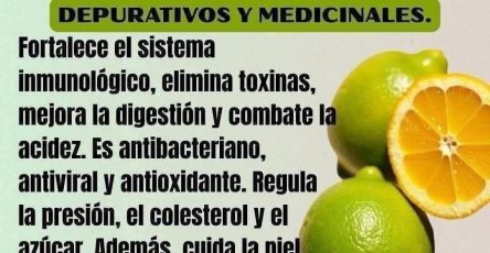 WhatsApp Image 2026 03 26 at 01.50.43