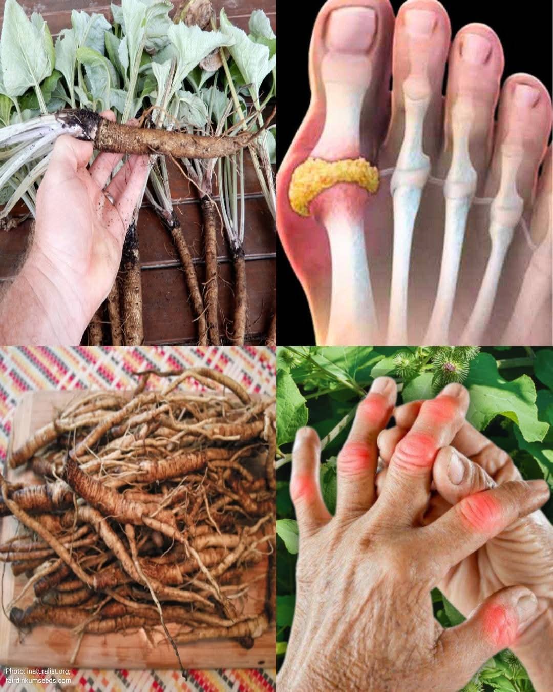 A8201f98 01e2 44d2 ac03 de3053d34754