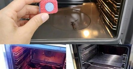 Ad086575 07af 4c7d a9cf 41db927c2d12