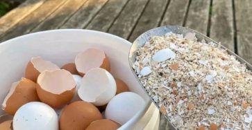 B4487984 b4ec 42a0 8145 ce47429f8224