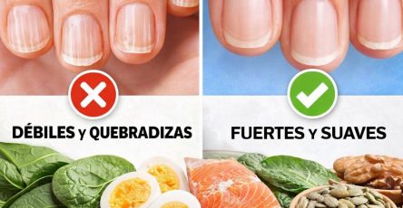 Ba5a1fe0 72b9 4c26 add8 cc3f5bbf811e (1)