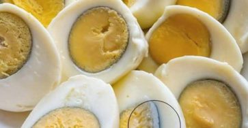 Bcdcb610 d6ea 45e6 9333 132994b79ebc