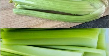 D1213a7c dbf5 4669 a27c 7ca464d192fe