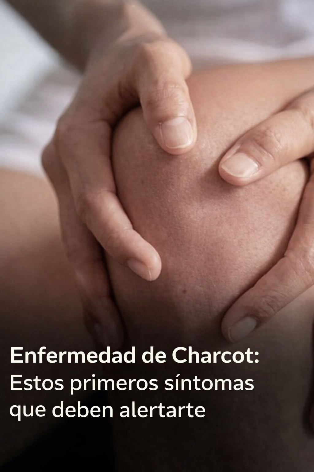 D799674b 12db 49d5 b5d5 1b94d9555eb6