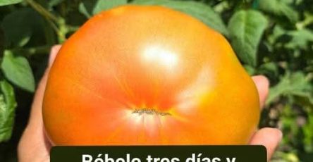 D88ba4cf 07bf 49f7 8cf5 770d82ba7f4c