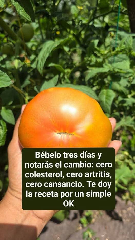 D88ba4cf 07bf 49f7 8cf5 770d82ba7f4c