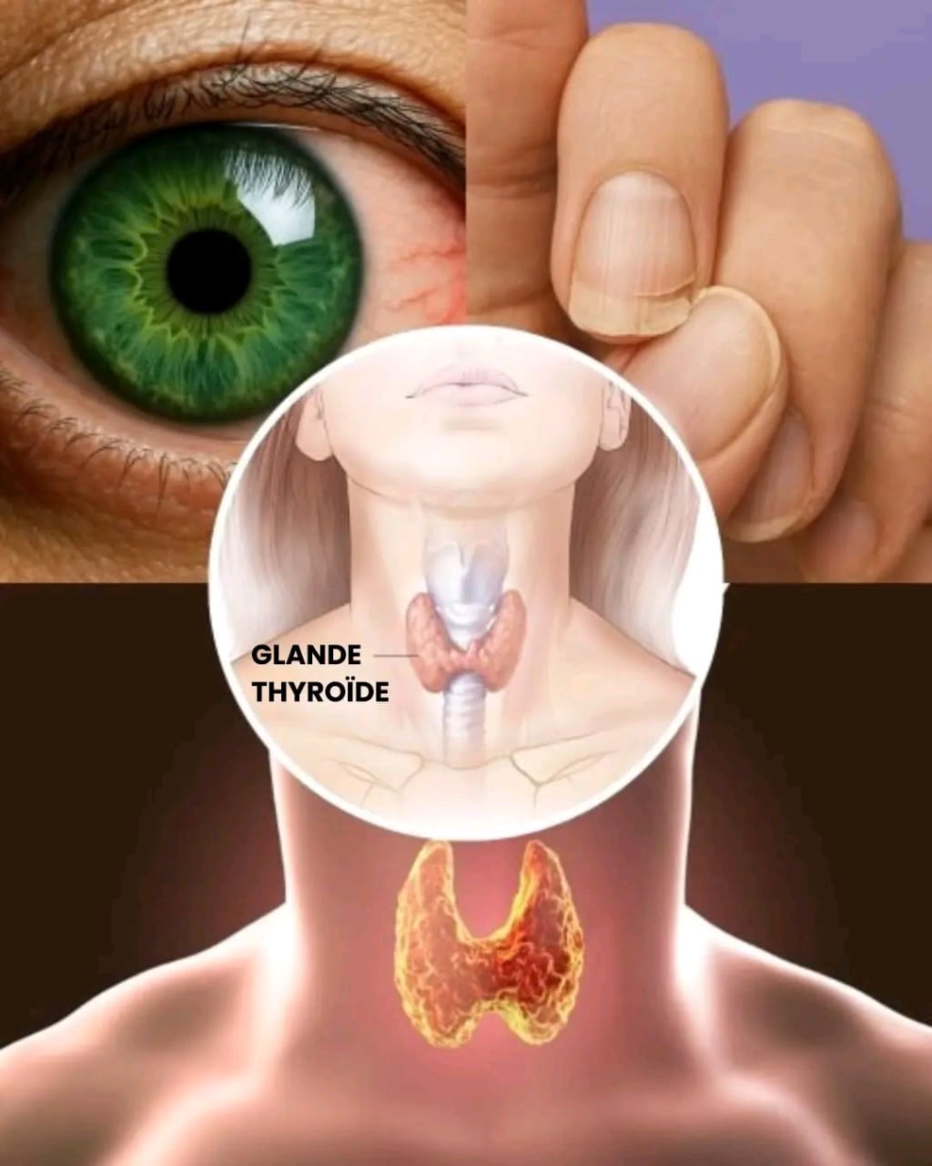 Debff41a 29e6 4a61 b172 c6a2386fa519