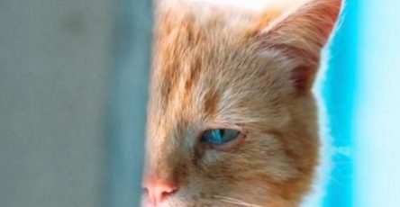 E94fb910 a419 4f4b 93b2 14030b038355