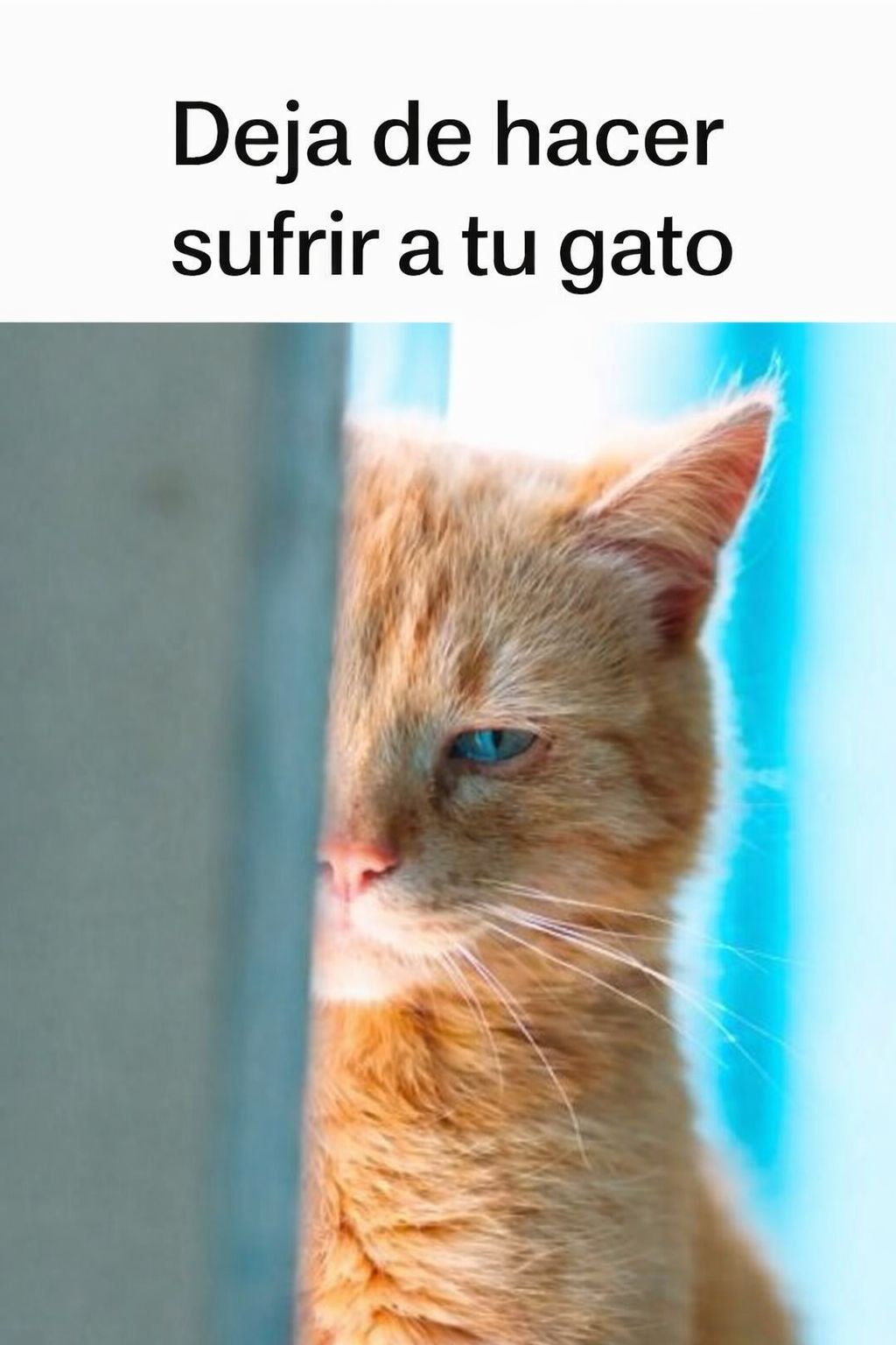 E94fb910 a419 4f4b 93b2 14030b038355