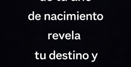 Fb79e8d8 594d 4587 b76b 5078c8b5823e