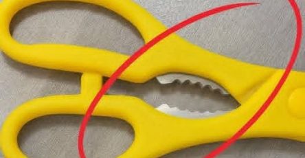 Fd64c957 992b 4629 b740 706623c0eddb