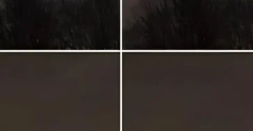 Mon frere a pris cette photo a seulement 21 km de chez nous avezvous une idee de ce que cest.jpg