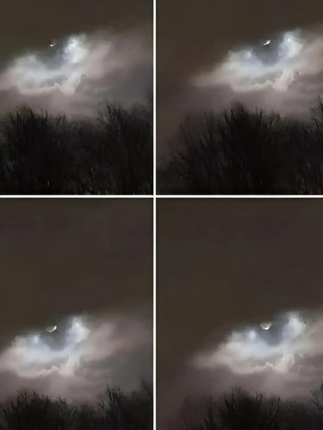 Mon frere a pris cette photo a seulement 21 km de chez nous avezvous une idee de ce que cest.jpg