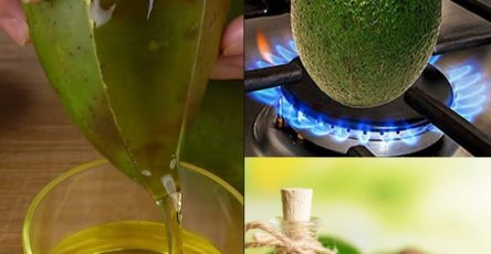 557589662 122130712304943773 6280420210355895257 n