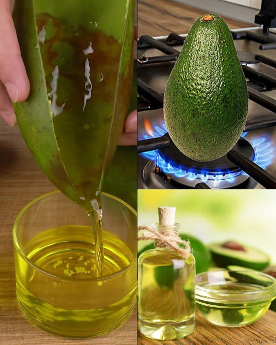 557589662 122130712304943773 6280420210355895257 n