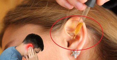 557602184 122131626116943773 6916077811350396343 n