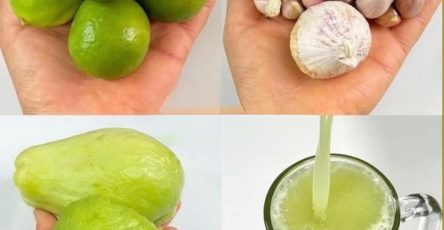 557629894 122131270418943773 2741951866504572008 n