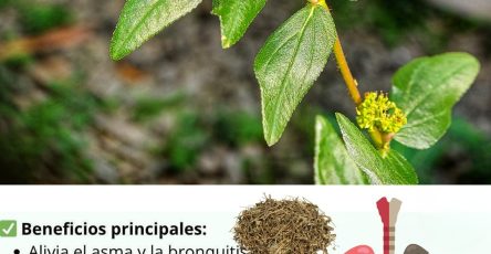 557630246 122130585170943773 2239171329853801776 n