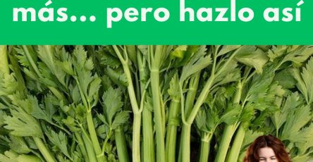 557635414 122131067054943773 5114847507954756849 n