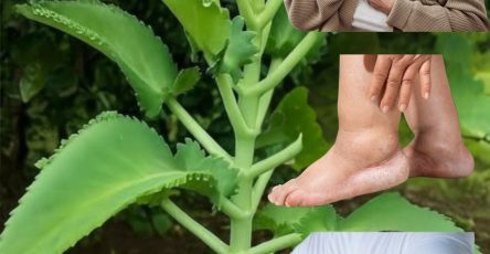 557647411 122130546620943773 3521185206069998986 n