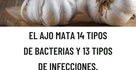 557683150 122131141766943773 7516534168947947563 n