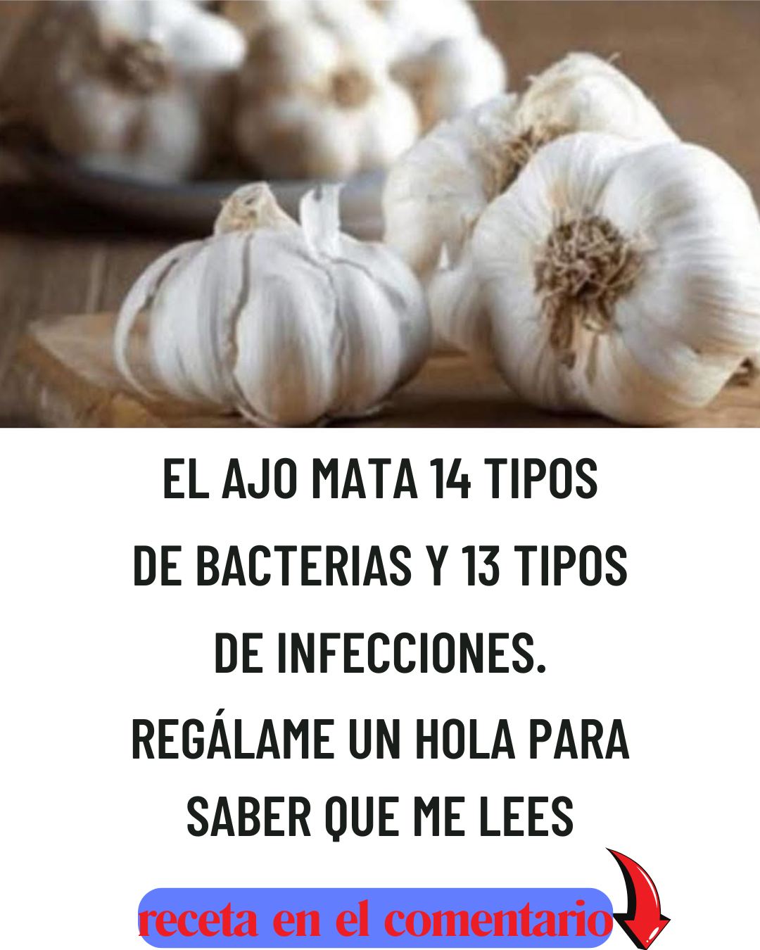 557683150 122131141766943773 7516534168947947563 n