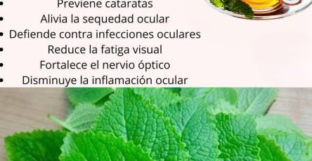 557783893 122132154980943773 1541753552902935365 n