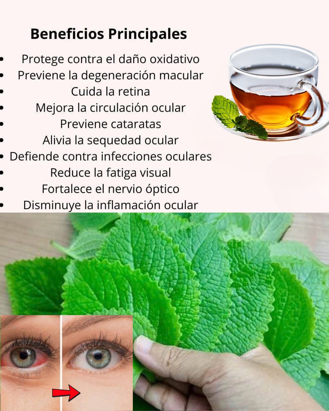 557783893 122132154980943773 1541753552902935365 n