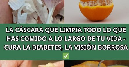 558057335 122133206906943773 8540631685628318465 n